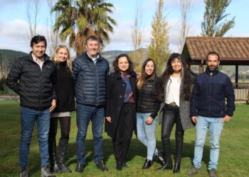 Desafíos 2022 de la Ruta del Vino Valle del Maule: Apuesta por posicionarse como el centro enoturístico más importante del país