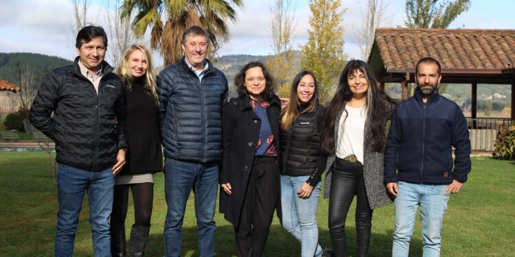 Desafíos 2022 de la Ruta del Vino Valle del Maule: Apuesta por posicionarse como el centro enoturístico más importante del país