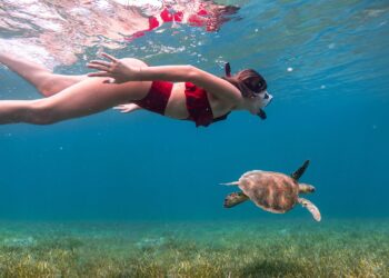 Puerto Rico: el destino ideal para los amantes de la naturaleza y la historia