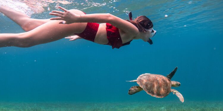 Puerto Rico: el destino ideal para los amantes de la naturaleza y la historia