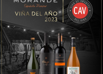 Morandé es elegida como Viña del Año 2023