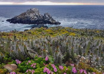Panoramas: Cuatro spots al aire libre para disfrutar en este verano