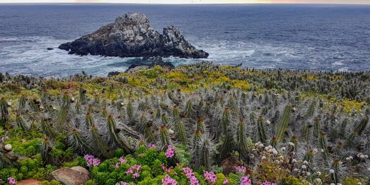 Panoramas: Cuatro spots al aire libre para disfrutar en este verano