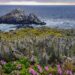 Panoramas: Cuatro spots al aire libre para disfrutar en este verano