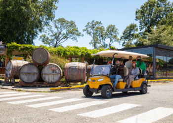 Verano valdiviano: 5 panoramas perfectos para los amantes de la cerveza Craft