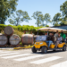Verano valdiviano: 5 panoramas perfectos para los amantes de la cerveza Craft