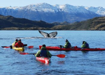 Parques y reservas naturales de Magallanes aumentan sus visitas en un 85%