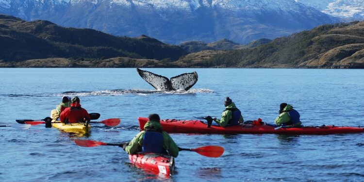 Parques y reservas naturales de Magallanes aumentan sus visitas en un 85%