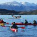 Parques y reservas naturales de Magallanes aumentan sus visitas en un 85%
