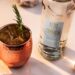 Recomendaciones para hacer ricos cócteles con pisco en este verano