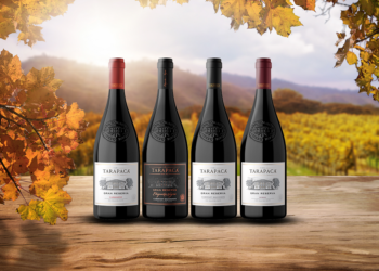 Vinos de otoño: Enólogo recomienda las mejores cepas para la temporada