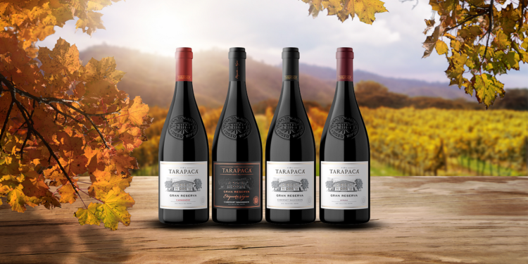 Vinos de otoño: Enólogo recomienda las mejores cepas para la temporada