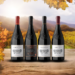 Vinos de otoño: Enólogo recomienda las mejores cepas para la temporada