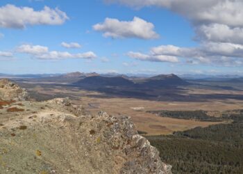Magallanes: El boom del turismo de intereses especiales en Tierra del Fuego