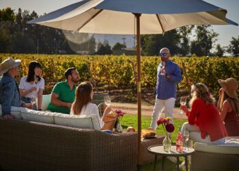 Enoturismo: la oportunidad de mostrar todo lo que hay tras una botella de vino