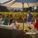 Enoturismo: la oportunidad de mostrar todo lo que hay tras una botella de vino