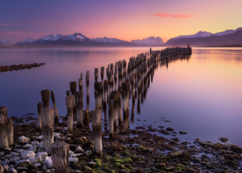 Puerto Natales se convierte en capital gastronómica internacional