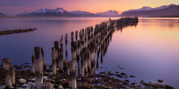 Puerto Natales se convierte en capital gastronómica internacional