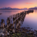 Puerto Natales se convierte en capital gastronómica internacional