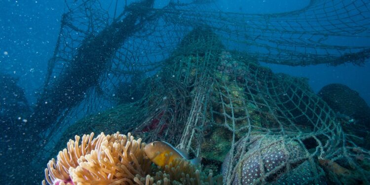 Novotel anuncia asociación con WWF para la protección del océano