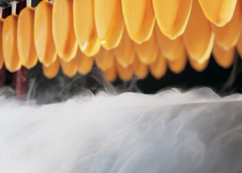 El helado es el postre favorito por los chilenos, incluso en invierno