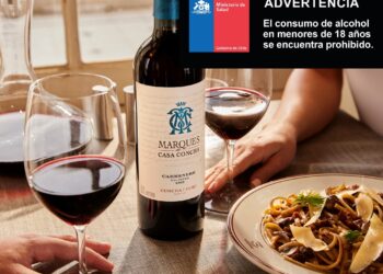 Maridajes invernales perfectos con el clásico Carmenere de Marques de Casa Concha