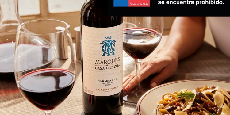 Maridajes invernales perfectos con el clásico Carmenere de Marques de Casa Concha