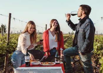 Día Nacional del Vino Chileno: MontGras se prepara para celebrar con nuevas experiencias, grandes ofertas y reafirmando su compromiso con la sustentabilidad