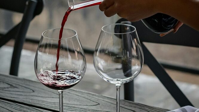 Día del Syrah: Un homenaje a la uva que conquista paladares en todo el mundo