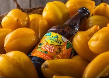 Guayacán lanza Lager Papaya y ocupa la fruta insigne del Valle de Elqui para su cerveza más transversal