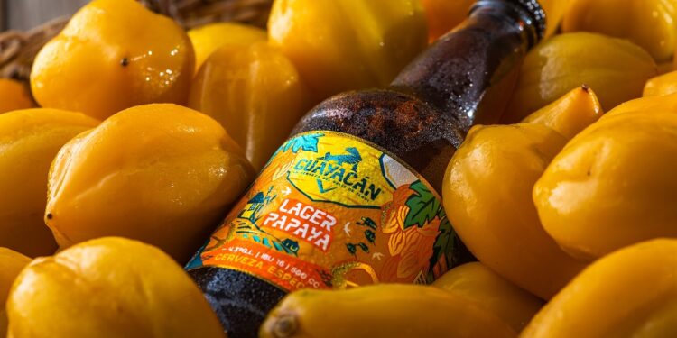 Guayacán lanza Lager Papaya y ocupa la fruta insigne del Valle de Elqui para su cerveza más transversal