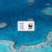 Novotel celebra un año de compromiso con los océanos y una alianza sostenible con WWF