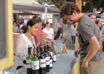 Fiesta de la Vendimia de Colchagua celebra su 26ª edición con experiencias renovadas y los 30 años de la Ruta del Vino