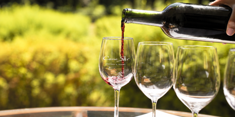 Vino chileno: cuando el origen construye una identidad